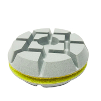 3 Inch 75mm Diamond Abrasive Tools Dry Polishing Pads for Concrete Floor with Good Performance